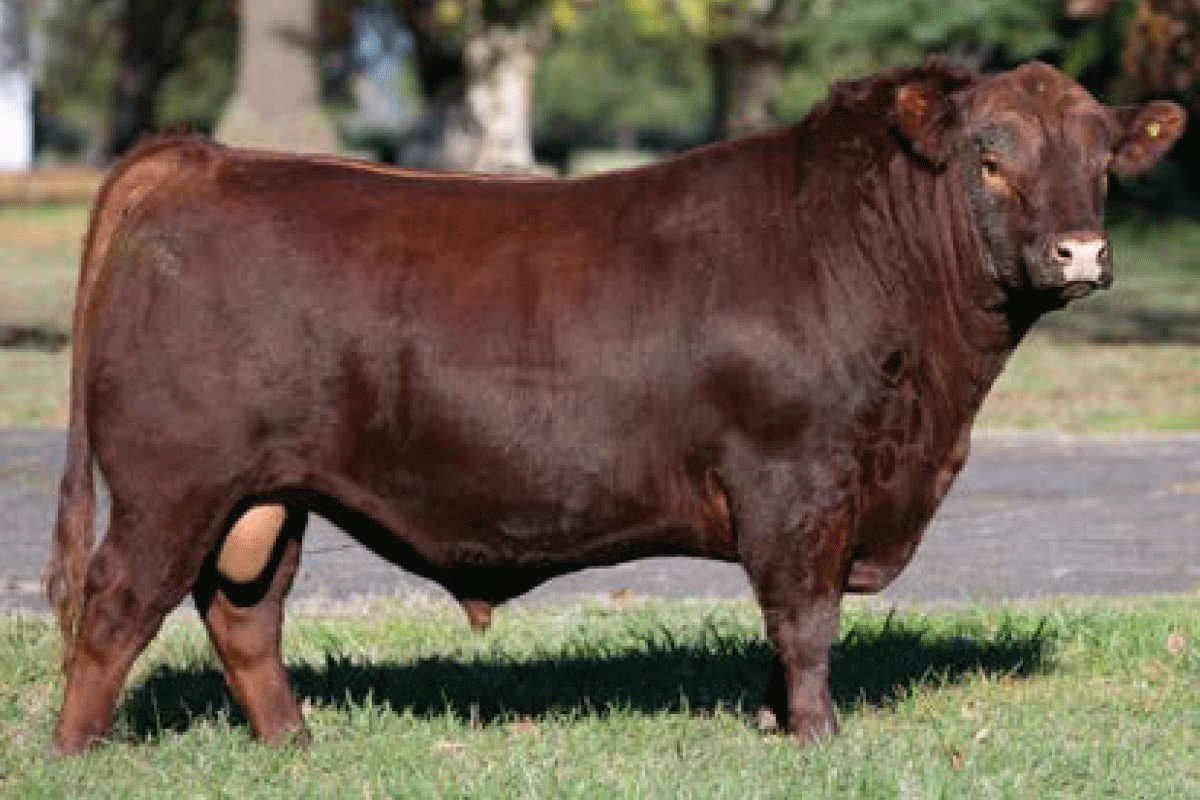 Padre: Pastoriza 1776 Felipe