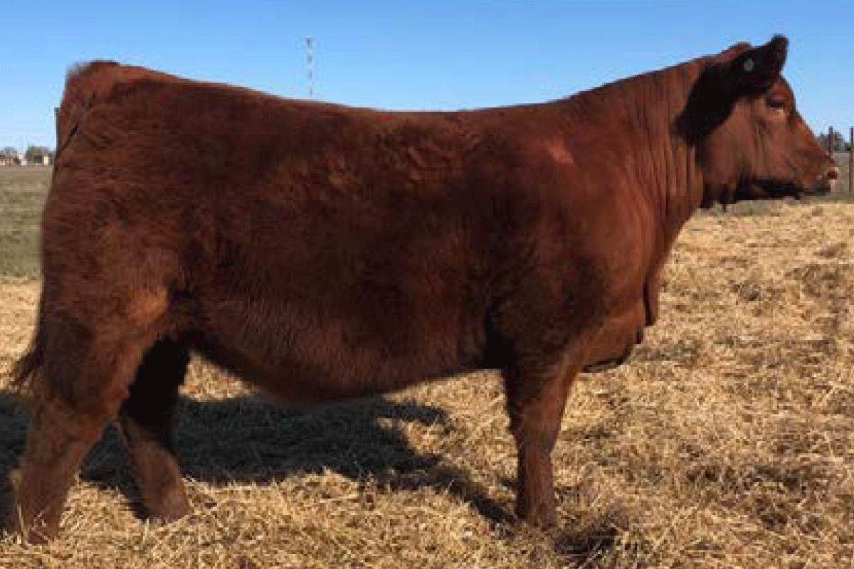 Hermana entera en La Pastoriza