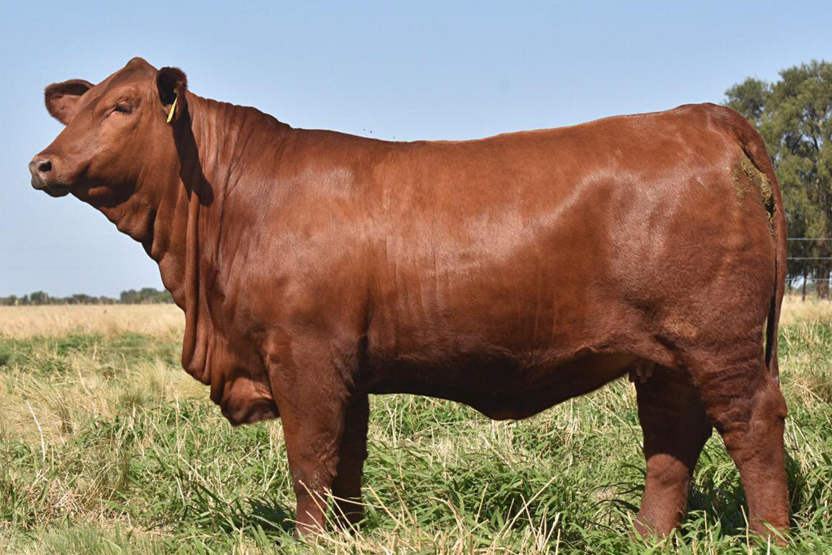 Hija en Cabaña La Cautiva